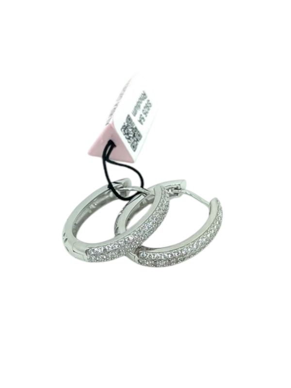 Orecchini Almira Gioielli Donna in Argento EHAWR01
