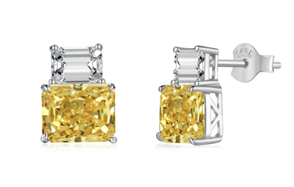 Orecchini Almira Gioielli Donna in Argento EIMGR01