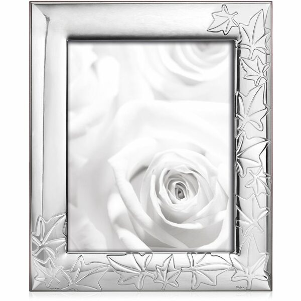 Cornice Ottaviani Donna in Argento 25741AM